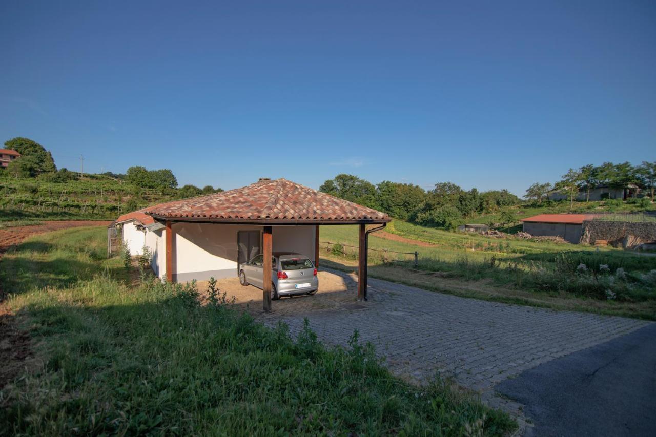 Apartment Ana - Karst Cycling Paradise Dutovlje Exteriér fotografie