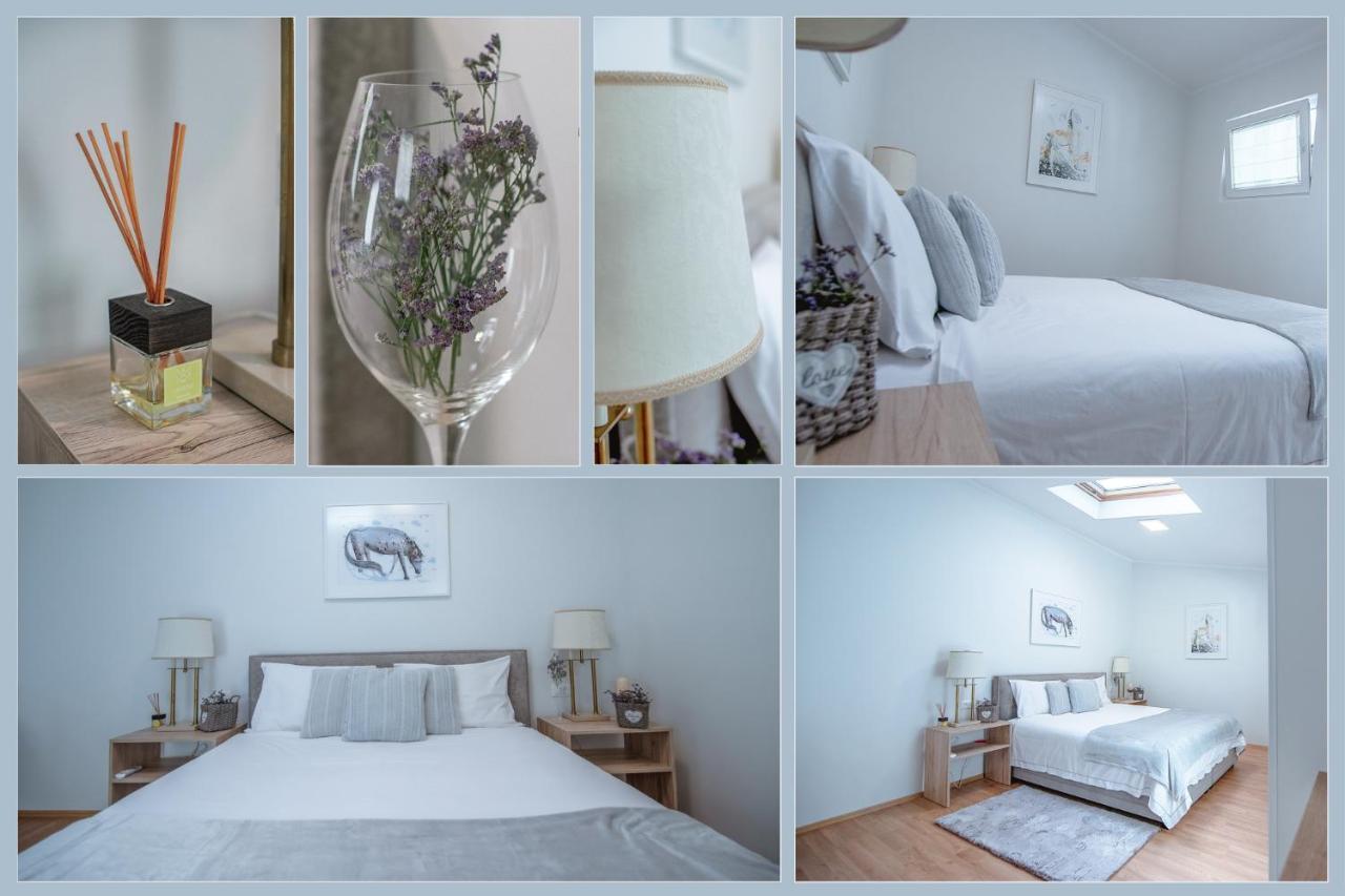 Apartment Ana - Karst Cycling Paradise Dutovlje Exteriér fotografie